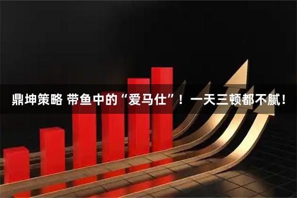 鼎坤策略 带鱼中的“爱马仕”!一天三顿都不腻!