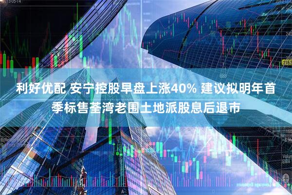 利好优配 安宁控股早盘上涨40% 建议拟明年首季标售荃湾老围土地派股息后退市
